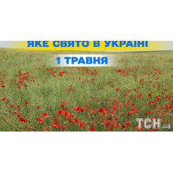 ir1753.05: Масло для паркета, серия ir1753.05, 5 л