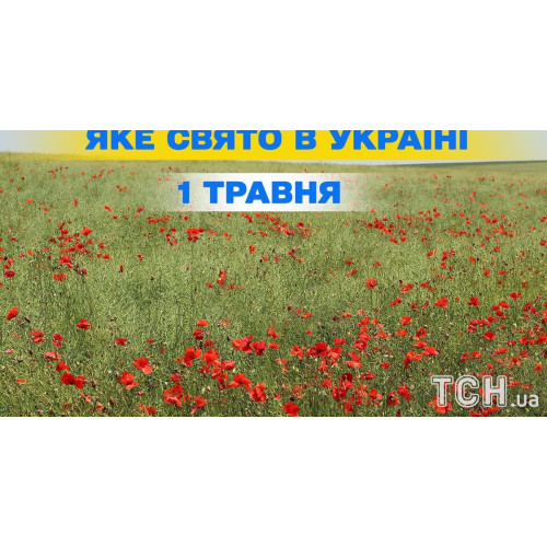 ir1753.05: Масло для паркета, серия ir1753.05, 5 л ir1753.05: Масло для паркета, серия ir1753.05, 5 л