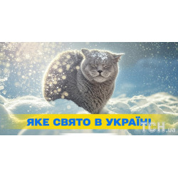 Vicolor для улицы 40/01 1 л.